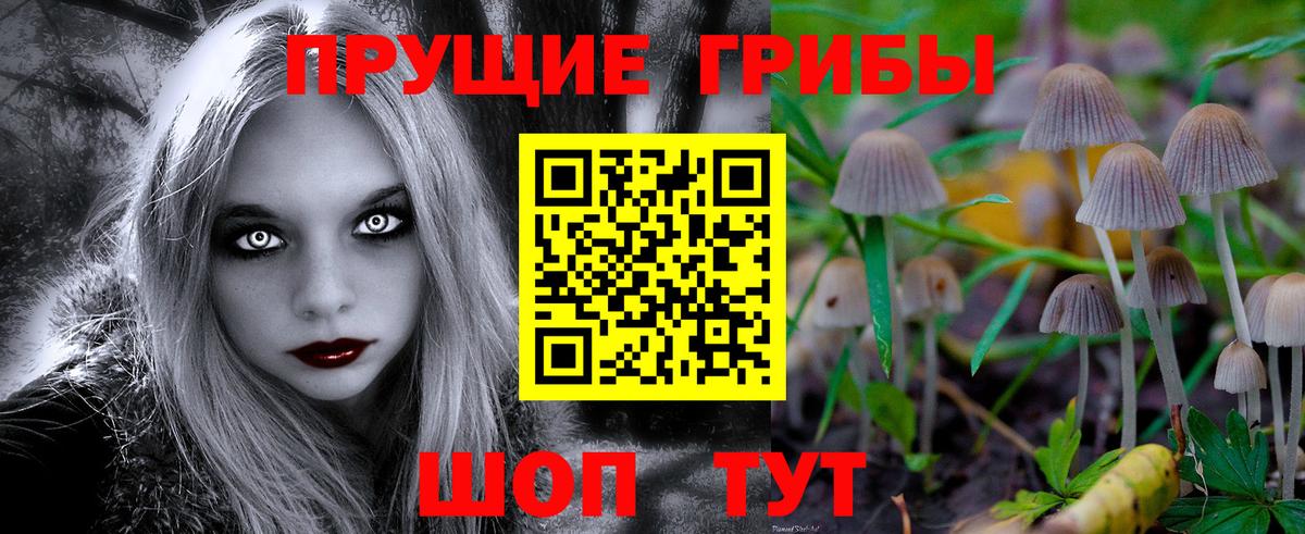 Галлюциногенные грибы Psilocybine cubensis  Псилоцибиновые грибы MAGIC MUSHROOMS  Вход с VPN  Орехово-Зуево 